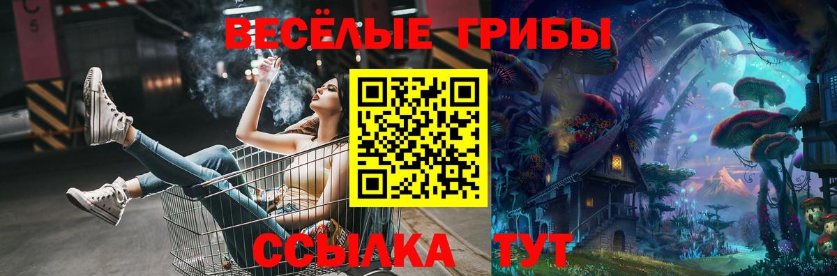 Псилоцибиновые грибы мицелий  Вход с VPN  Псилоцибиновые грибы прущие грибы  Елец 